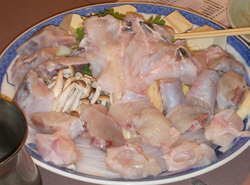 __tn_2009121902